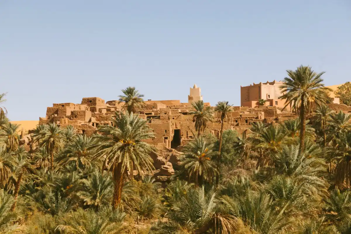 gallry-image